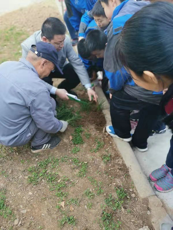 1552385055428126.jpeg 2_1.jpg