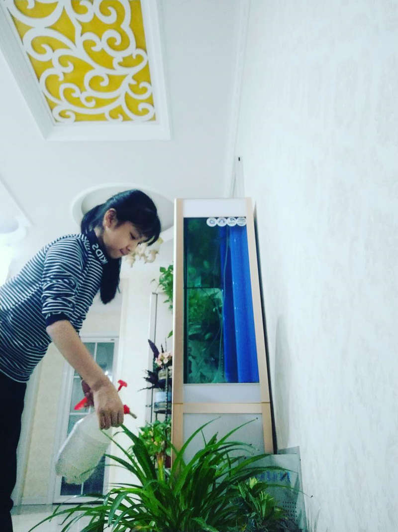 1585799134920682.jpeg 守护绿植2.jpg