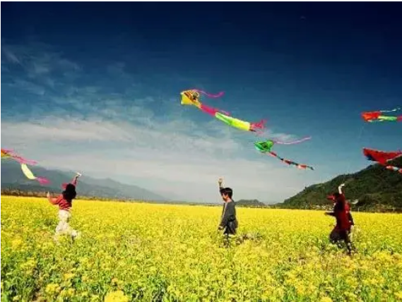 1589760911806447.png image.png