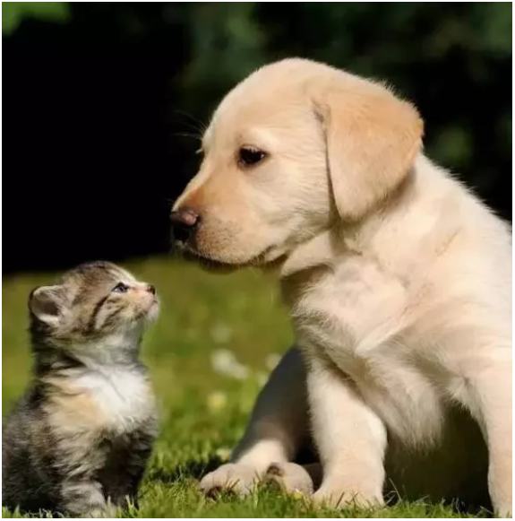 1589760999449656.png image.png