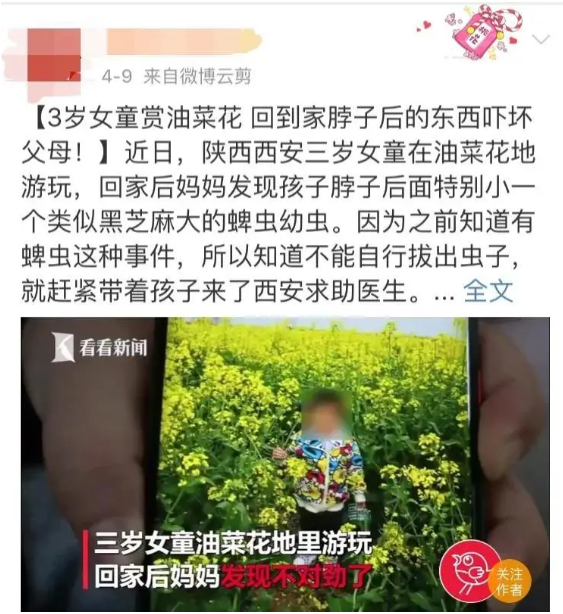 1589761133820195.png image.png