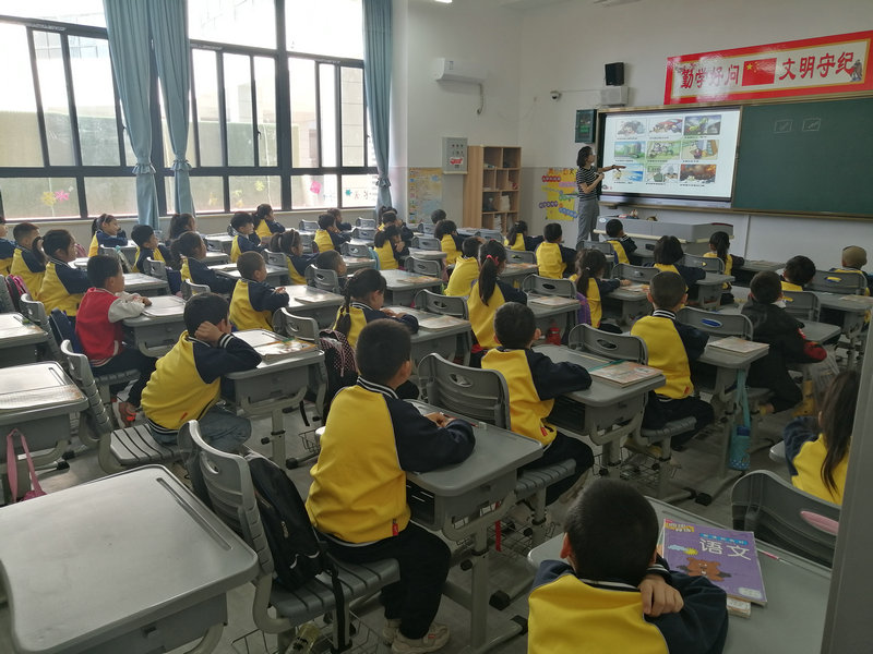 1590067362499317.jpeg 15.jpg