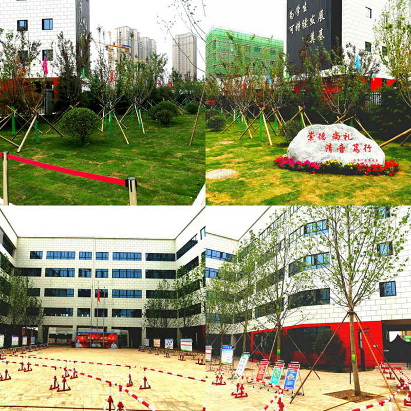 1590457634549563.jpeg 图片4.jpg