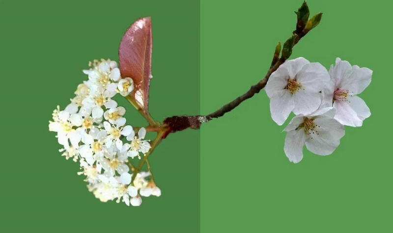 1591002376971336.jpeg 图片二.jpg