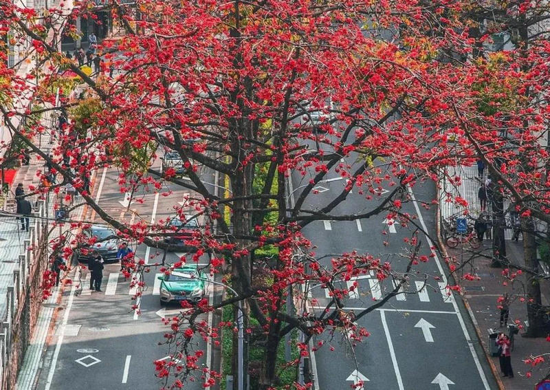 1591003483736323.jpeg 图片五.jpg