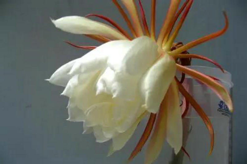 1591922918999196.jpeg 图片一.jpg