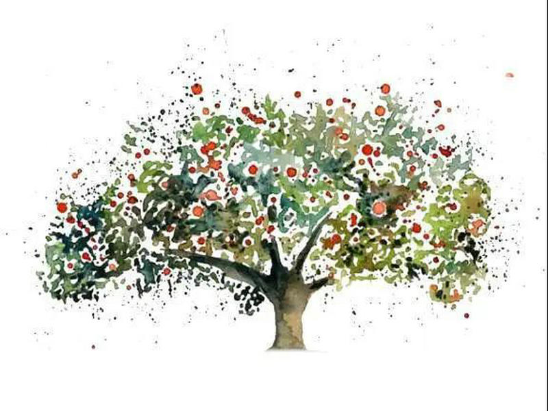 1592380646161725.jpeg 图片三.jpg