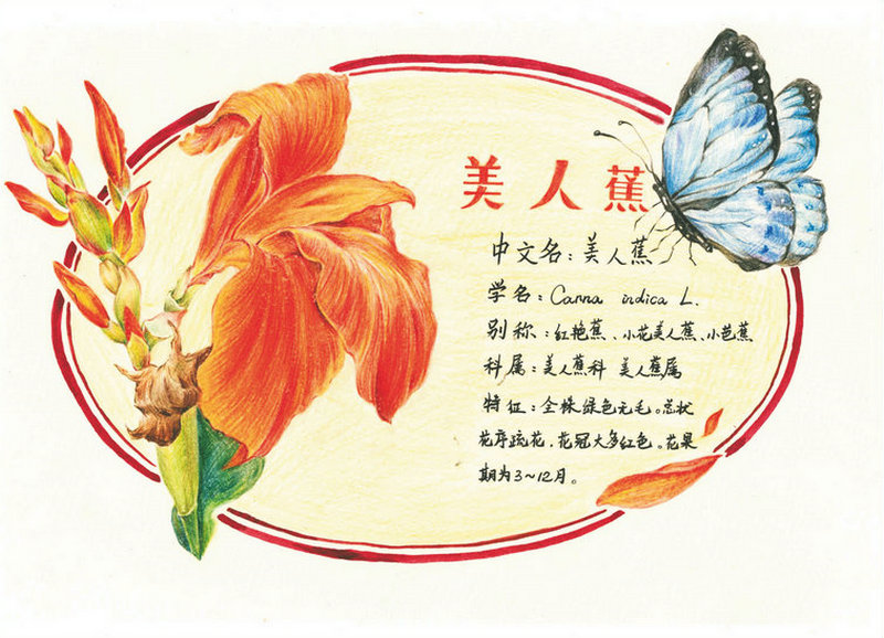 1594608392148532.jpeg 图片1.jpg