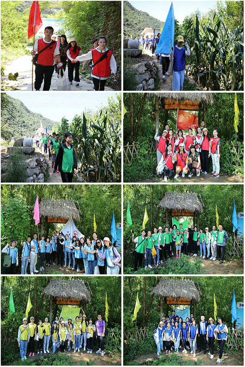 1600129901974431.jpeg 5-6.jpg