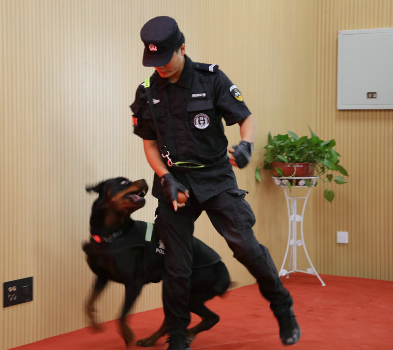 1600909709130464.jpeg 15.JPG