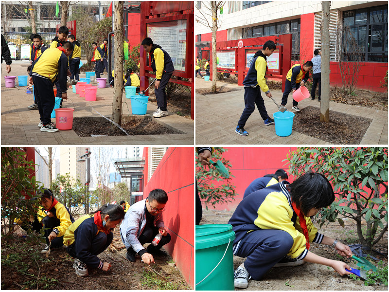 1615950637985236.jpeg 44.jpg