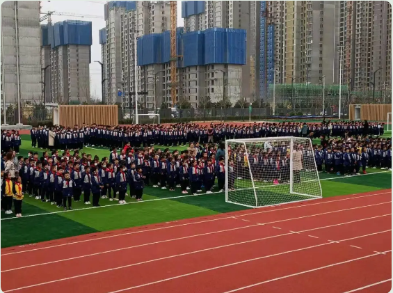 1621161015727012.png image.png