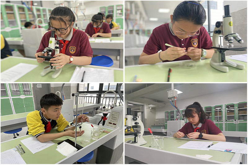 1621210842294394.jpeg 拼3.jpg