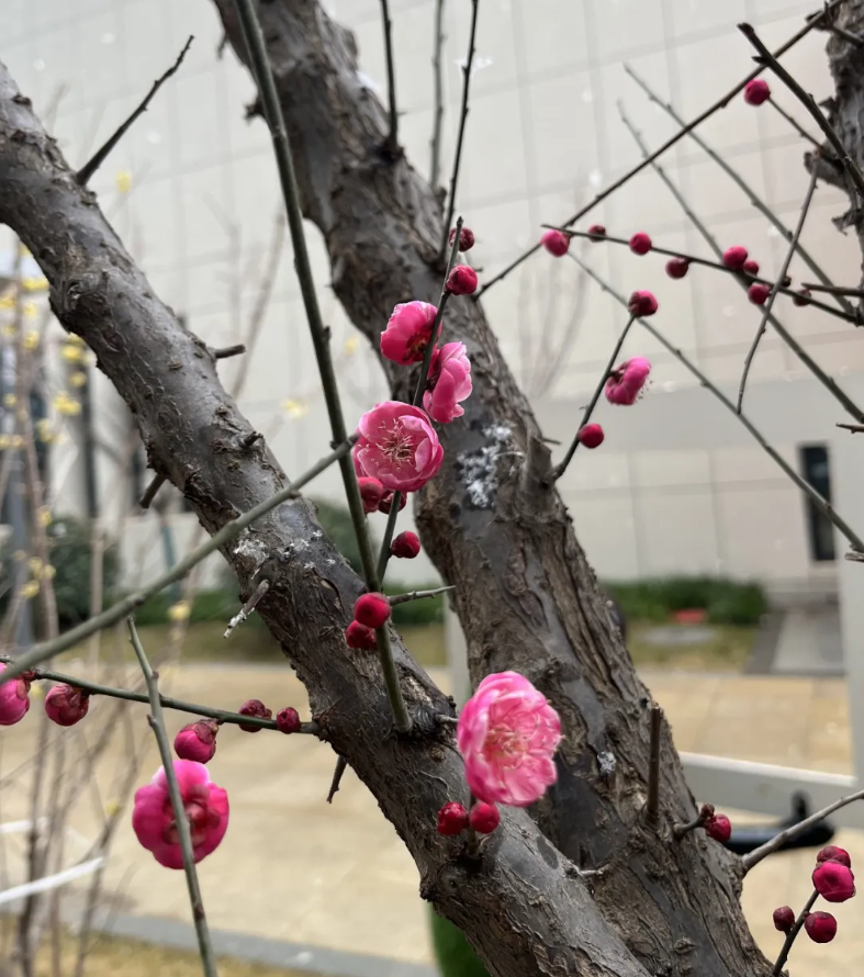 1645448617911132.png image.png