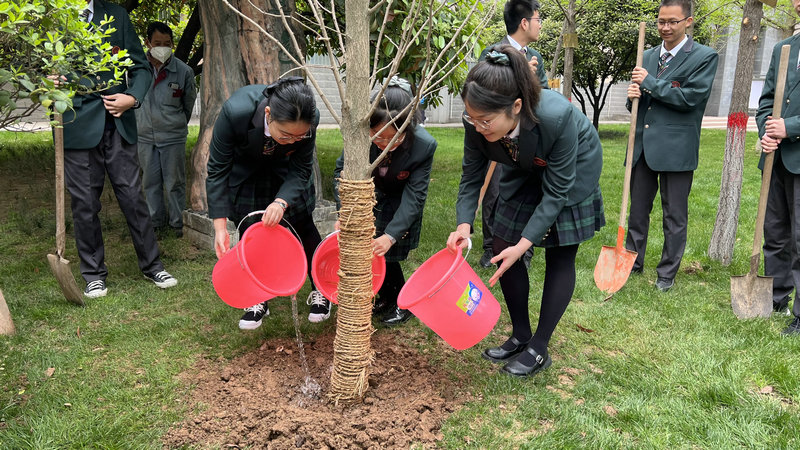 1648611844512851.jpeg 植树1 (1).jpg