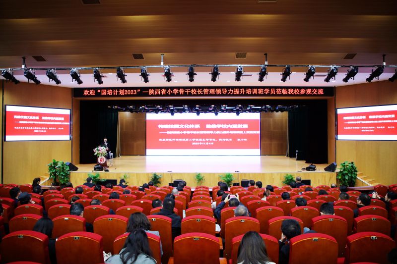 1701067312464962.jpeg 17.jpg